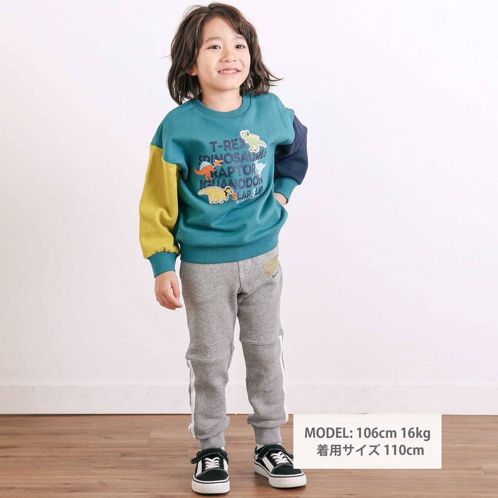 袖配色恐竜ごちそうモチーフトレーナー(80~130cm) グリーン系 80cm