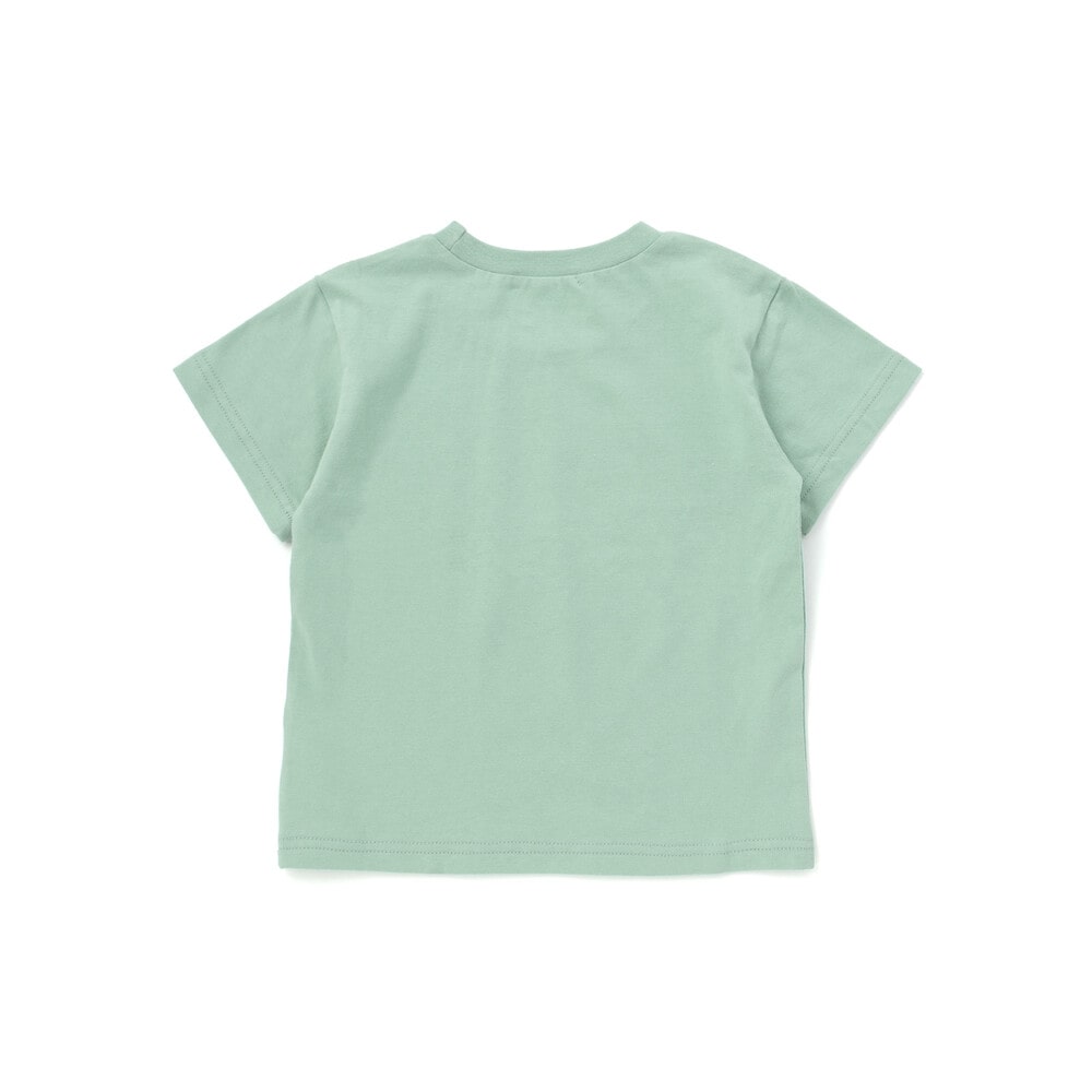 はたらくくるま&昆虫時計天竺半袖Tシャツ(80~130cm) グリーン 80cm