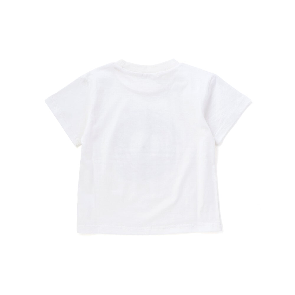 はたらくくるま&昆虫時計天竺半袖Tシャツ(80~130cm) グリーン 80cm