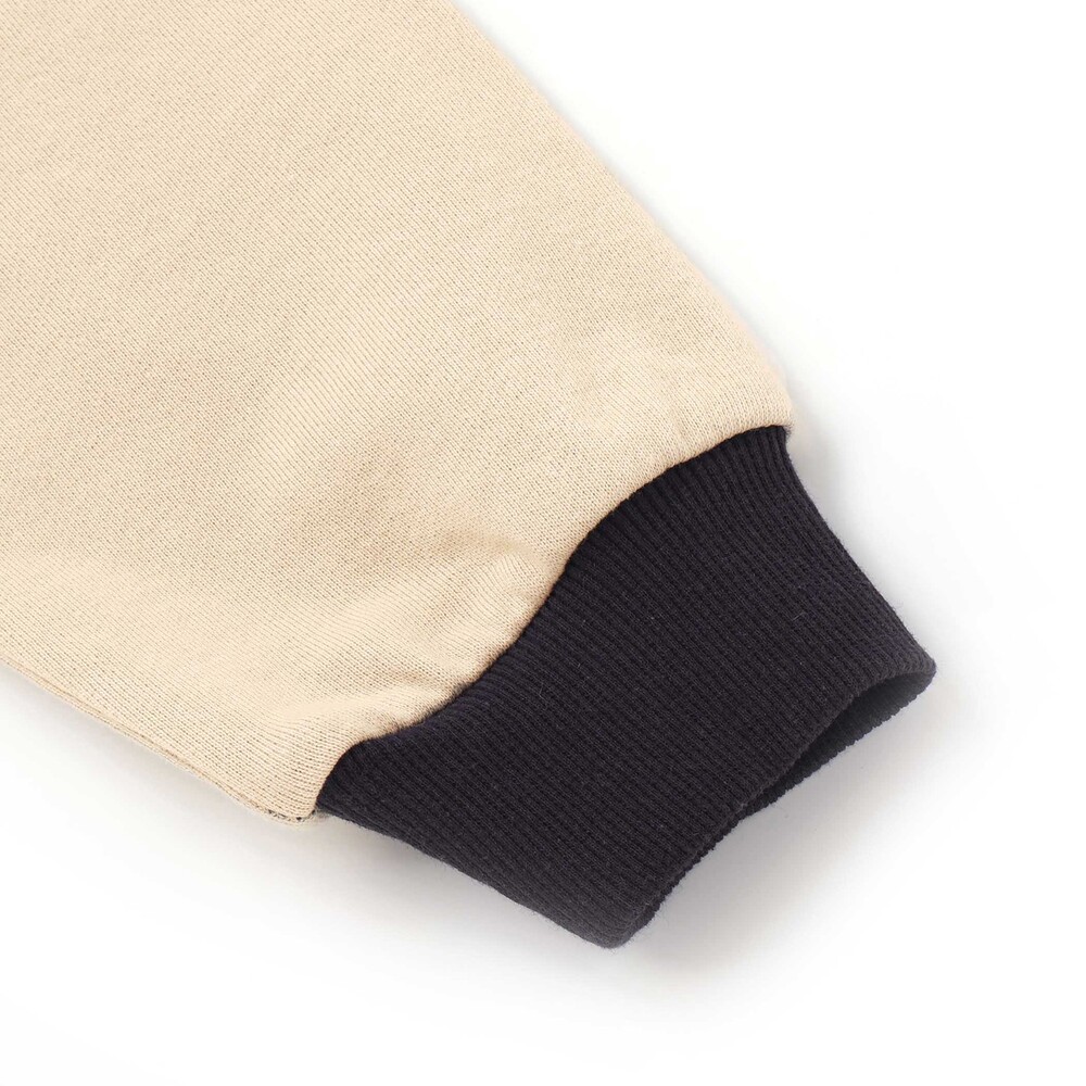 袖配色恐竜ごちそうモチーフトレーナー(80~130cm) グリーン系 80cm