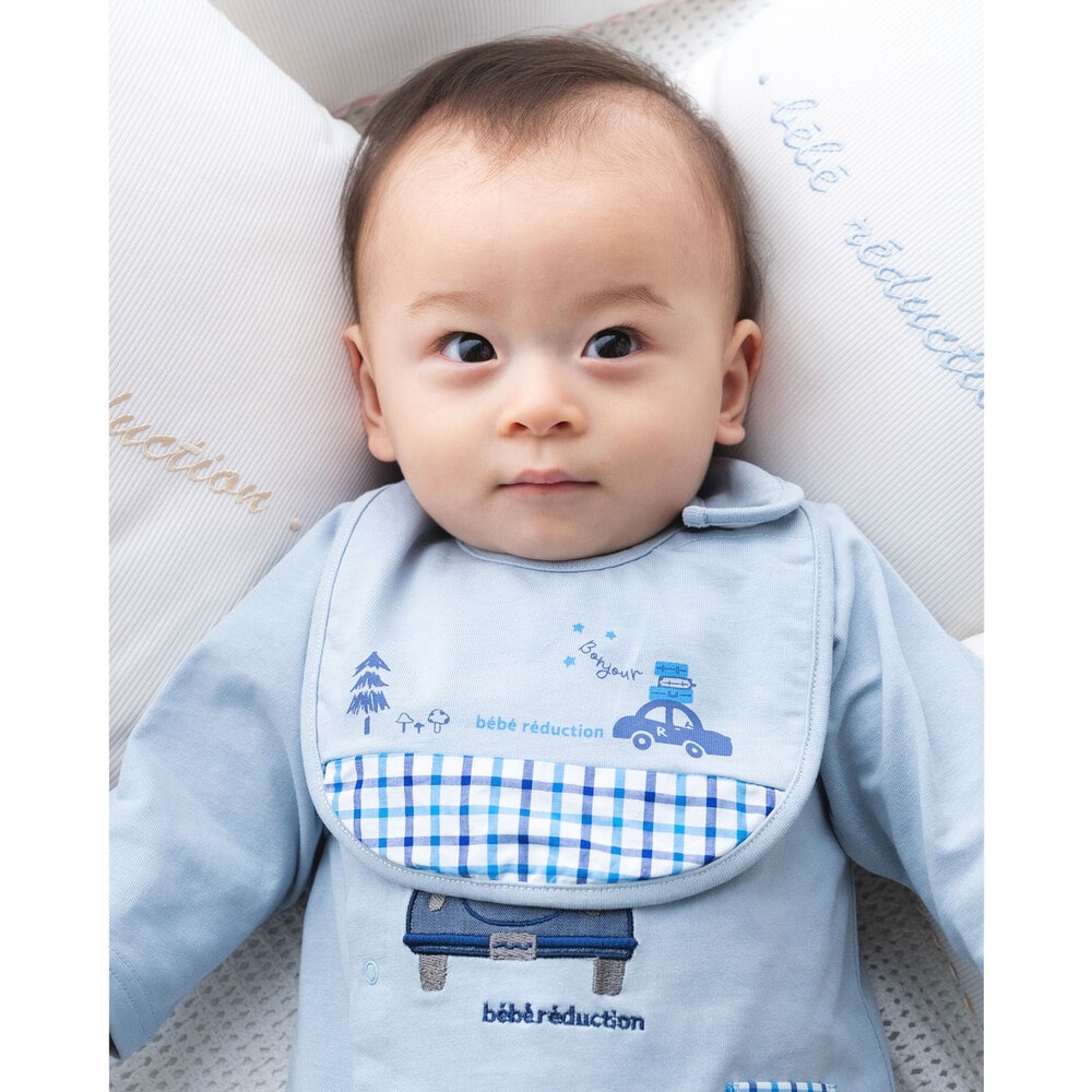 防水 】 クルマ 刺繍 チェック スタイ(ﾜﾝｻｲｽﾞ ブルー系): 新生児