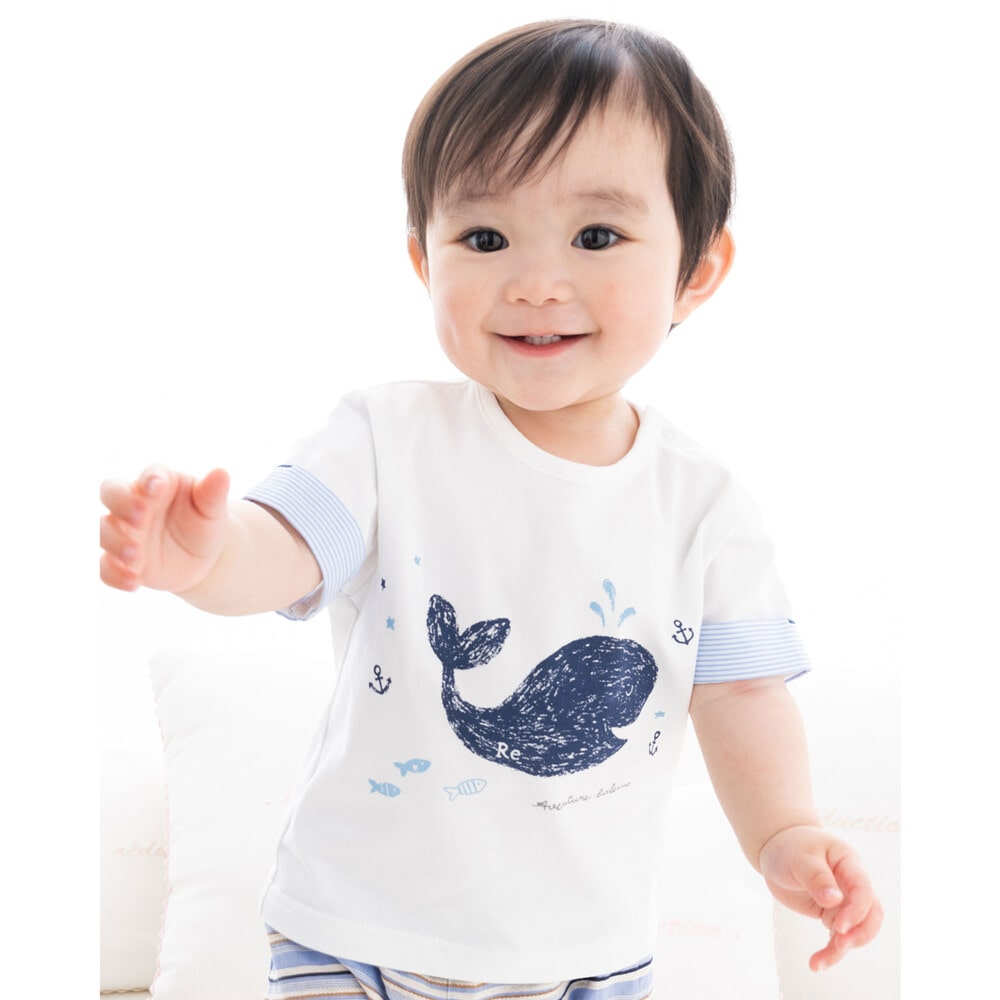 クジラ 前面 プリント ストライプ 柄 天竺 Tシャツ (70~90cm)(S(70