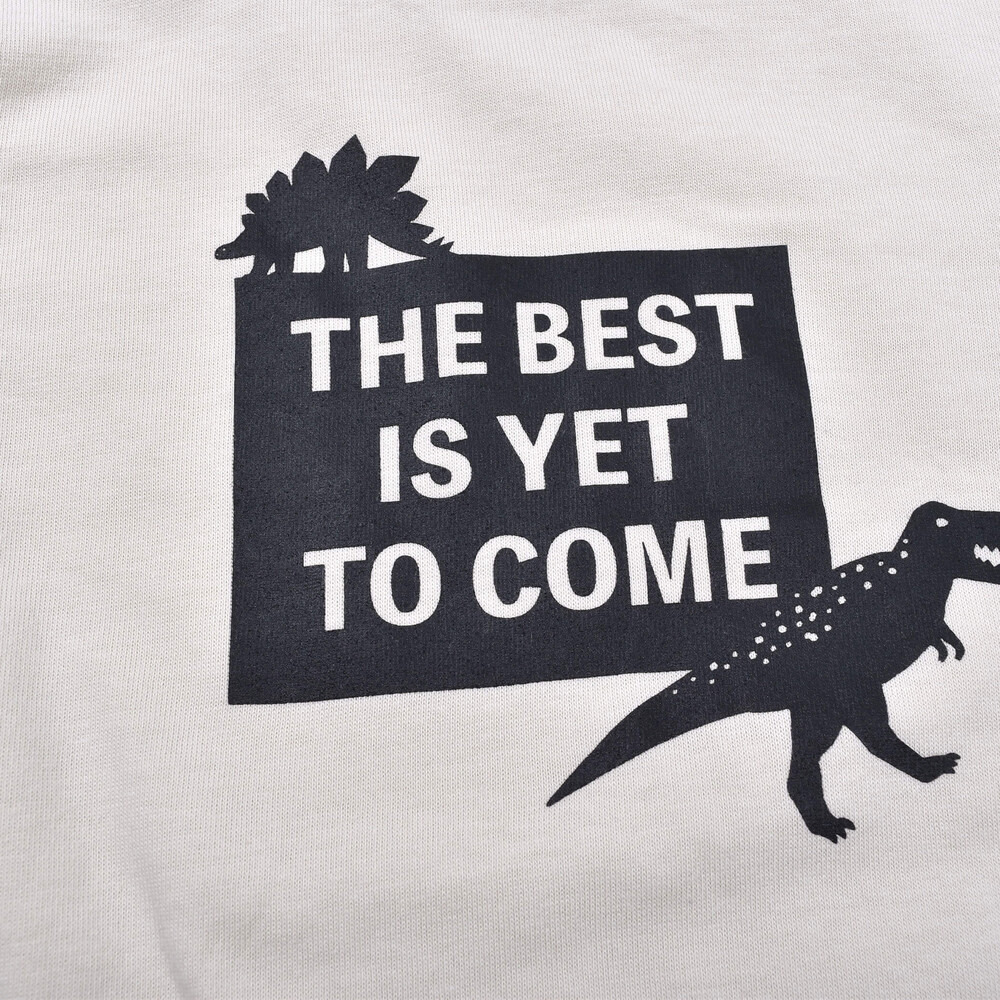 2点セット 恐竜 ロゴ プリント Tシャツ × 配色 切り替え ベスト (80~130cm) ネイビー 100cm