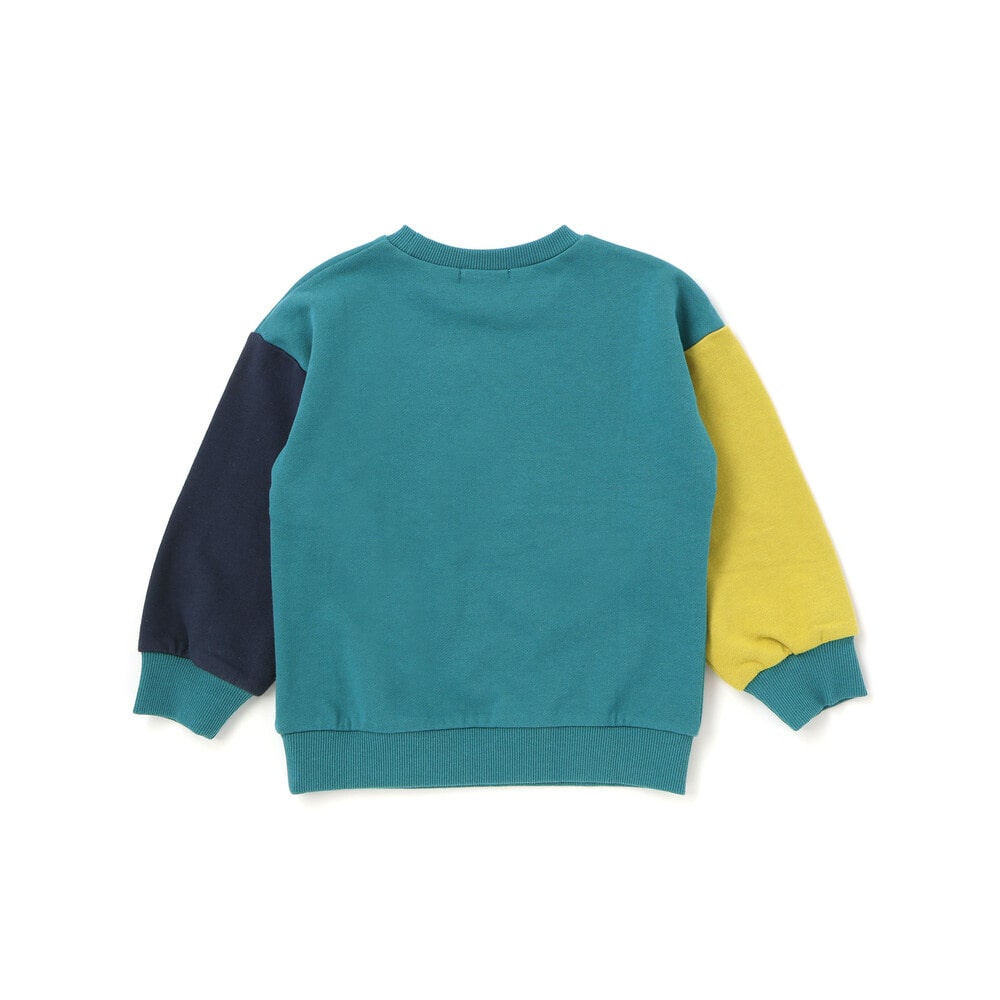 袖配色恐竜ごちそうモチーフトレーナー(80~130cm) グリーン系 80cm