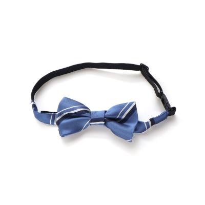 レジメンタル蝶ネクタイ