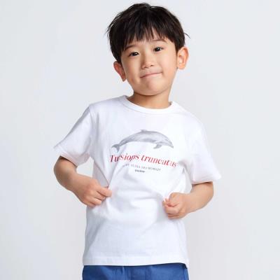 【 速乾 】【神戸須磨シーワールド×BeBe】シャチ・イルカ 図鑑風半袖Tシャツ(80~140cm)