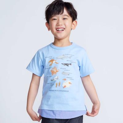 【 速乾 】【神戸須磨シーワールド×BeBe】不思議な青い世界 海の生きもの半袖Tシャツ(80~140cm)
