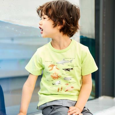 ベビー・キッズの半袖Tシャツ一覧 ｜ 子ども服ならべべモール