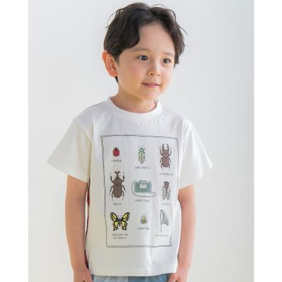 BABYL　キツネ祭り　Tシャツ　Mサイズ BABYMETAL METAL WALKURE Tシャツ 巨大キツネ祭り - メルカリ