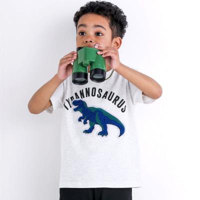 速乾】恐竜サガラワッペン天竺Tシャツ(100~160cm)(100cm グレー