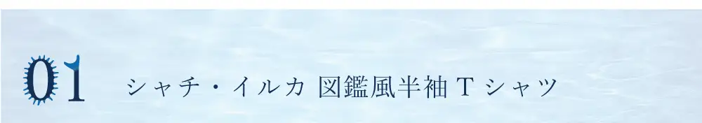 シャチデザインTシャツの紹介