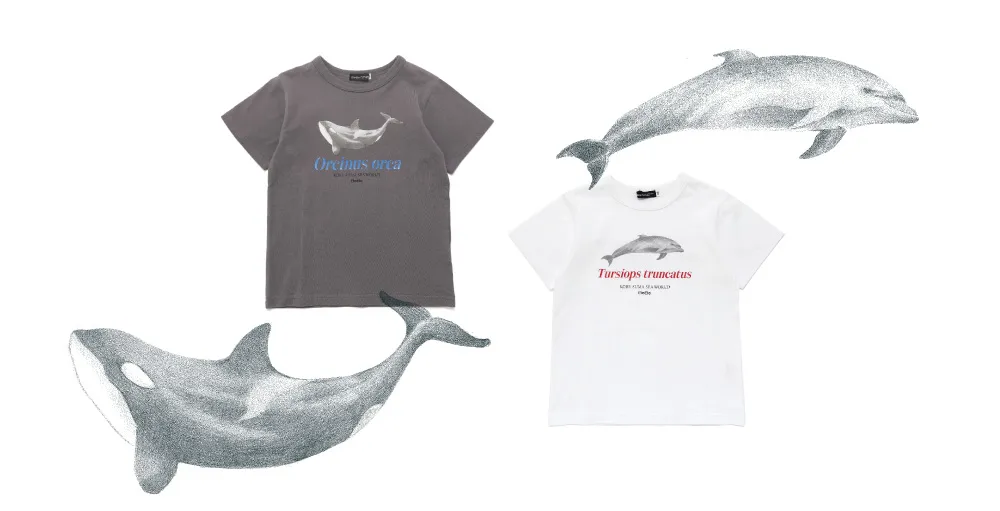 イルカデザインTシャツの前面拡大画像