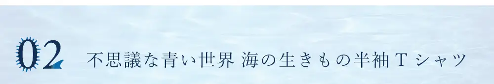 神戸須磨シーワールド限定オリジナルグッズ紹介
