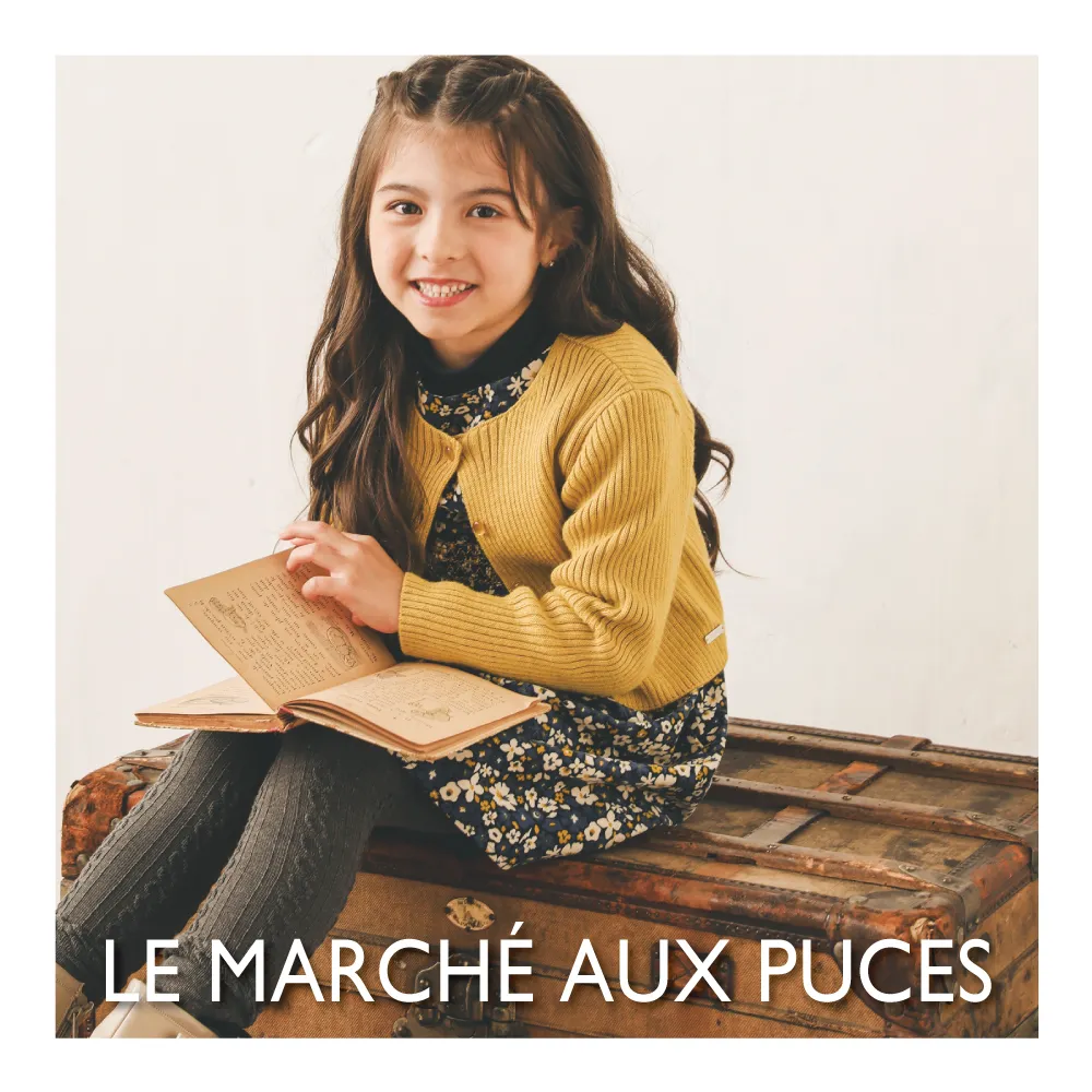 LE MARCHE AUX PUCE