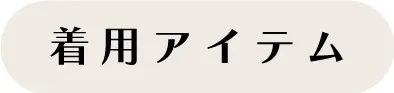 着用アイテム