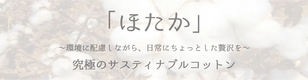 ほたか