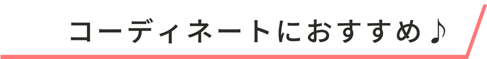 コーディネートにおすすめ♪