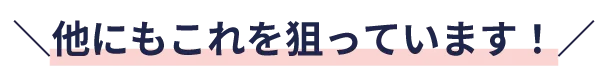 他にもこれを狙っています！