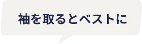 袖を取るとベストに