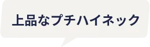 上品なプチハイネック