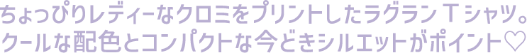 1st説明