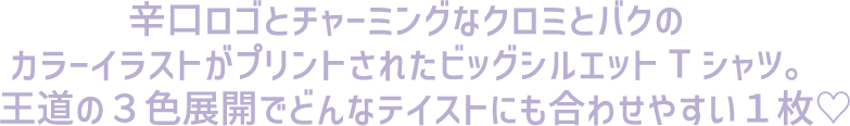 2st説明