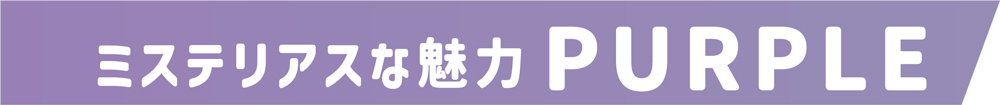 ミステリアスな魅力PURPLE